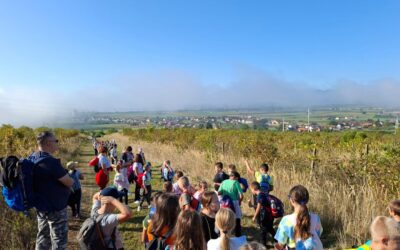 TEMATSKI PARK RUDNIK, BRODSKI STUPNIK