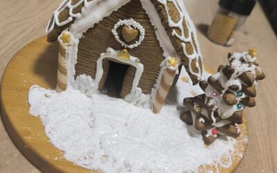 DAN KUĆICA OD MEDENJAKA