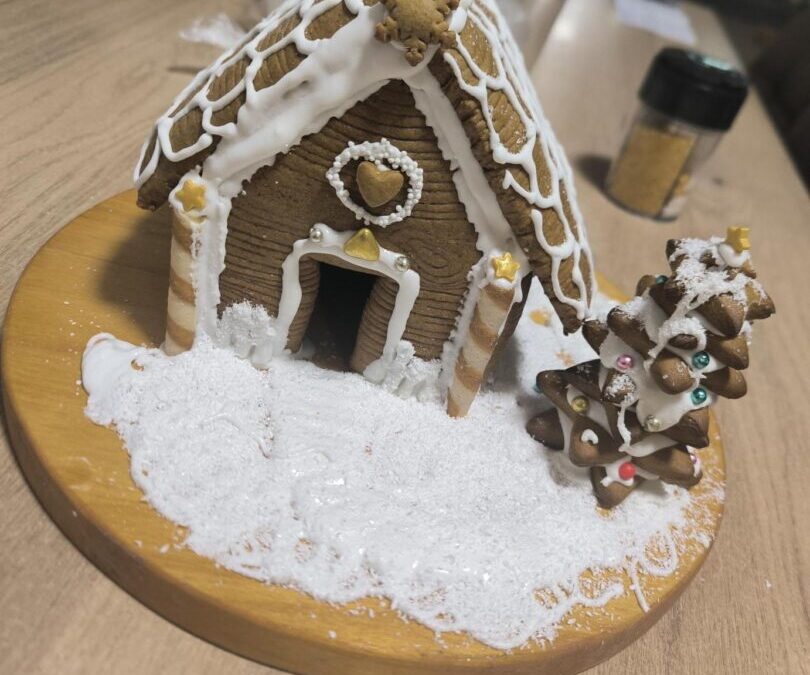 DAN KUĆICA OD MEDENJAKA