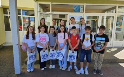 10. FESTIVAL MATEMATIKE U STAROM PETROVOM SELU 